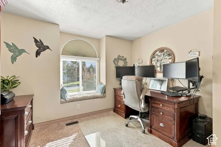 Window seat with an arched transom, light-toned wall paint, and textured carpeting