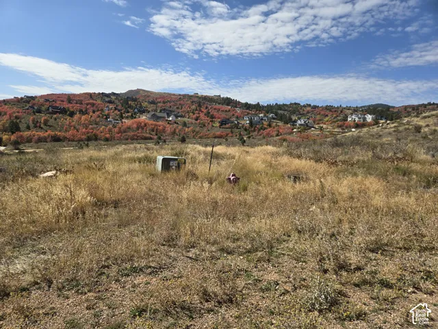 Expansive property with natural vegetation, featuring distant residential structures and a backdrop of autumn foliage