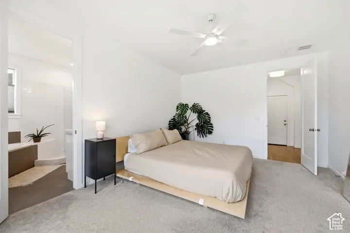 Plush carpeting with a ceiling fan and overhead lighting