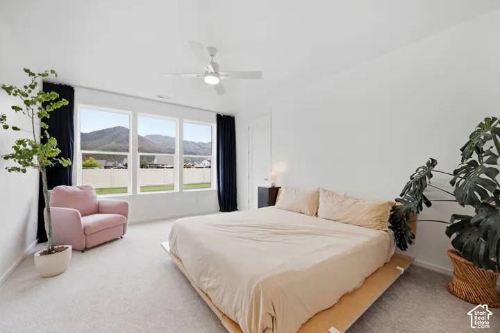 Multiple oversized windows, ceiling fan, white walls, and light-colored carpeting