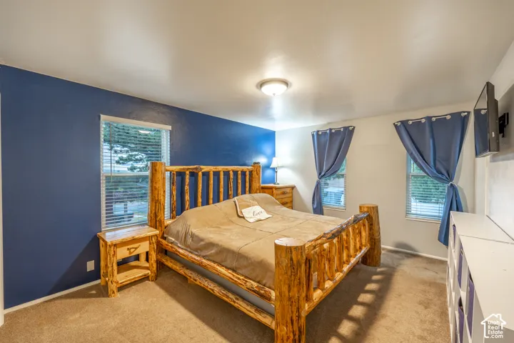 Carpeted bedroom featuring a ceiling-mounted light fixture and two windows with blinds