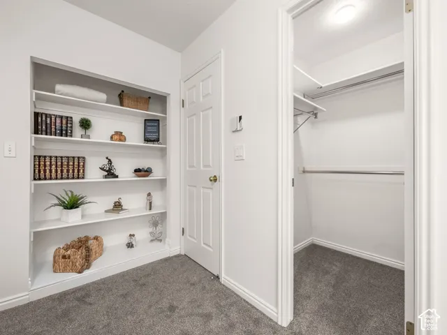 Built-in shelving, white paneled doors, and plush gray carpeting