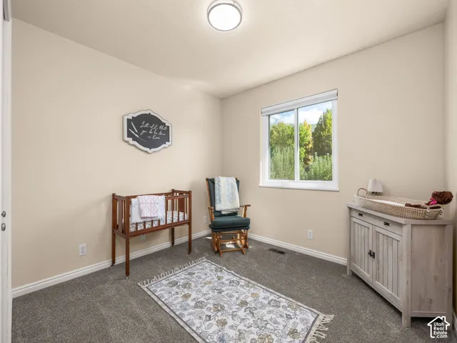 Neutral wall paint, gray carpeting, a single window, and a ceiling-mounted light fixture