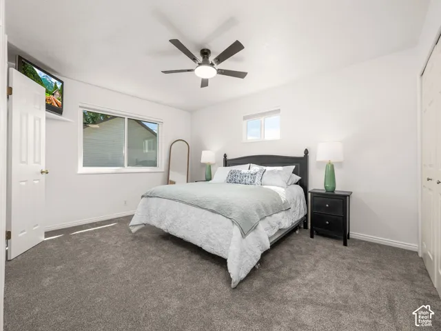 Plush carpet flooring, a ceiling fan with integrated lighting, and multiple windows providing natural light