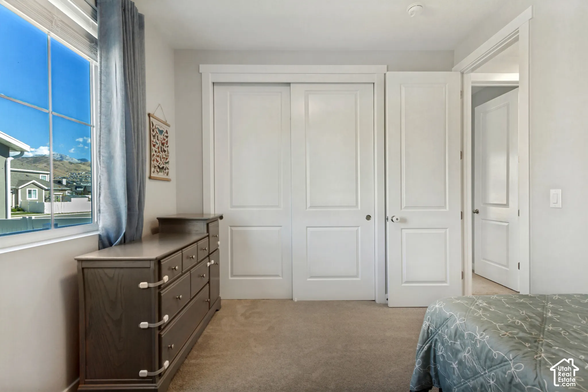 Neutral wall paint, carpet flooring, and white two-panel doors