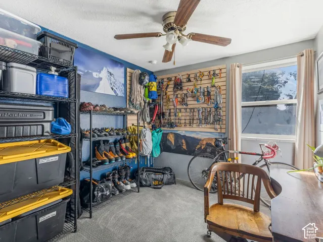 Built-in shelving, wall-mounted organization panels, window with drapes, ceiling fan with light fixture, and carpeted flooring