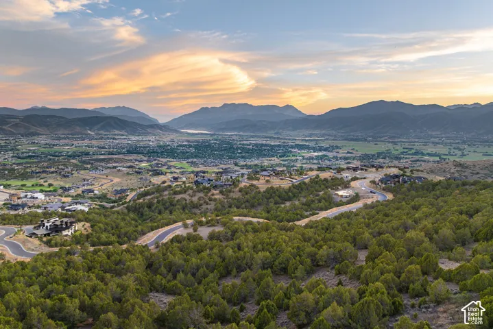 Expansive mountain valley scenery with distant water feature, featuring a residential area with varied housing and a winding paved road, surrounded by abundant green foliage