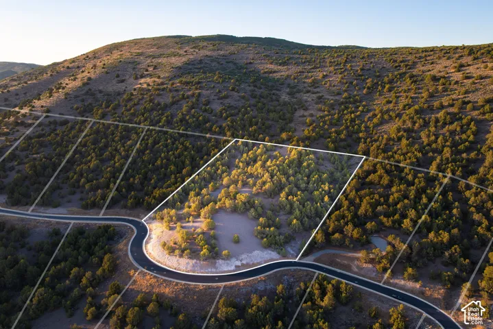 Wooded lot with established roads