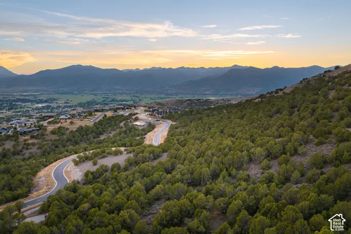 Mountainous landscape with expansive green foliage and a winding paved road