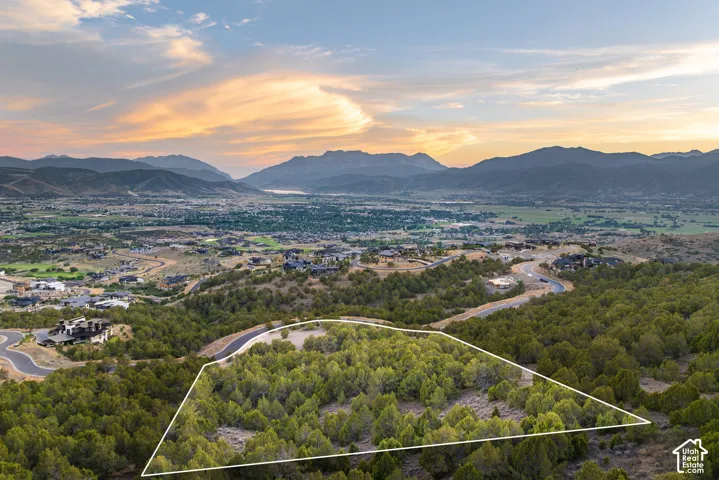 Expansive undeveloped lot featuring mature trees and a paved access road