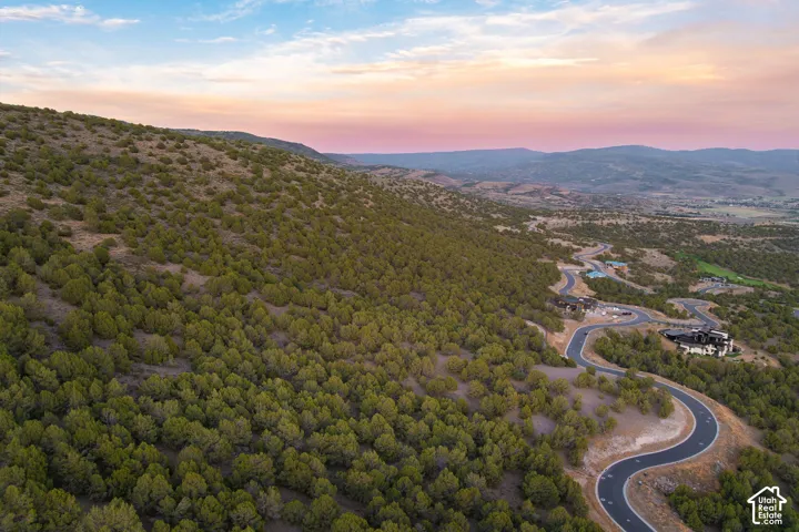 Winding paved roads traversing a vast expanse of natural foliage, with mountainous terrain in the distance