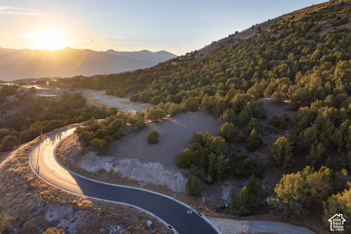 Paved mountain road winding through a treed landscape