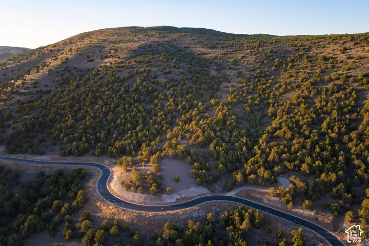 Winding paved road, natural hillside landscaping, abundant mature trees, clear sky backdrop, distant mountainous terrain