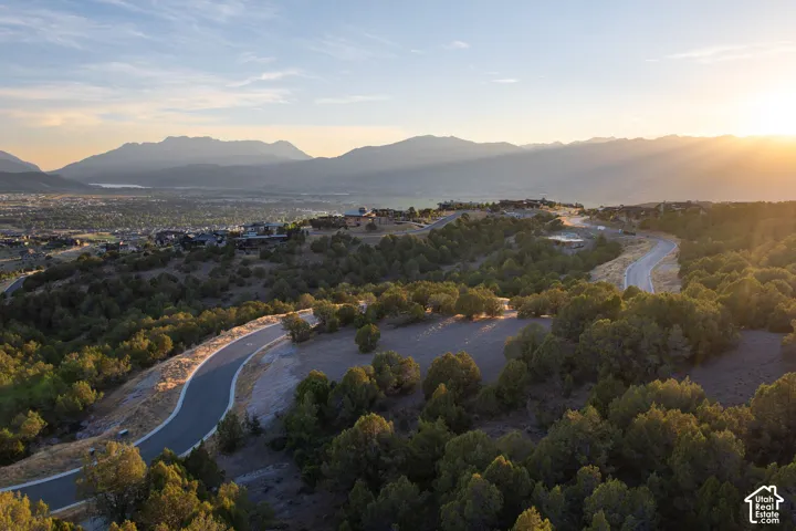 Winding paved road through dense natural landscaping, surrounded by distant mountains and scattered residential structures