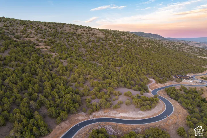 Winding paved road traversing a treed hillside
