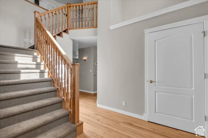 Wood-finish flooring, two-panel interior door, carpeted staircase, wood balusters, and crown molding