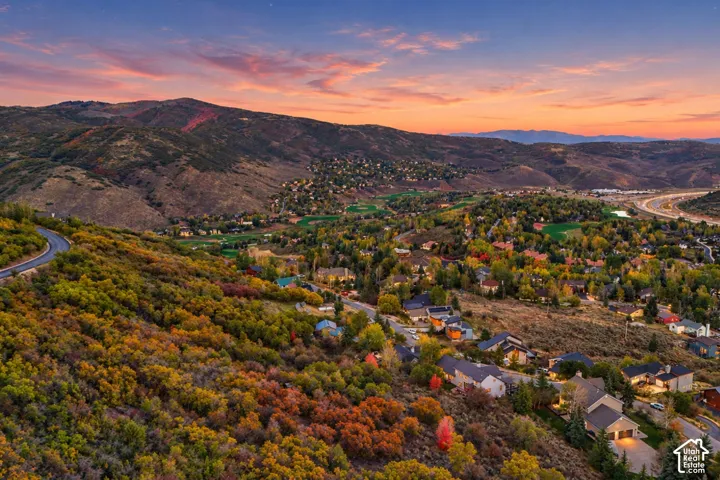 Rolling hillsides with extensive tree coverage, residential properties nestled into the landscape, a winding paved road, and distant mountain ranges