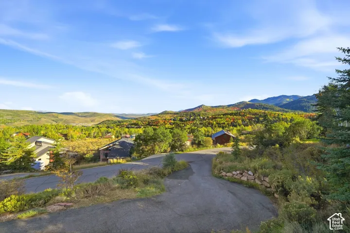 Paved roadway with surrounding natural landscaping