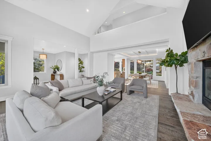 Vaulted ceiling living area with a stone-clad fireplace and wood-finish flooring