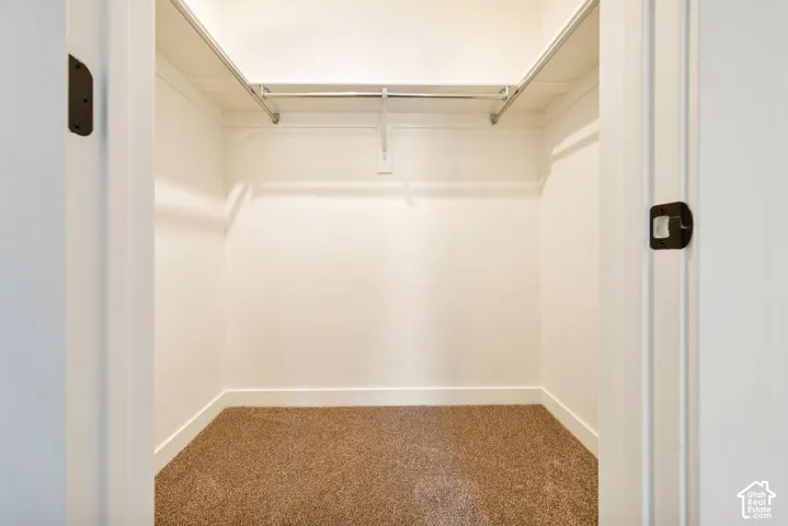 Walk-in closet with integrated wire shelving and plush brown carpeting