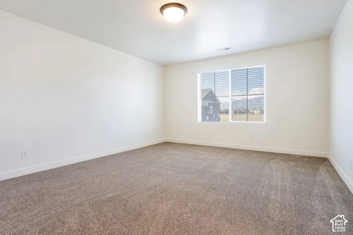 Neutral wall color, wall-to-wall carpeting, single window with blinds, and ceiling-mounted light fixture