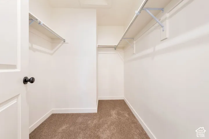 Walk-in closet with carpet flooring, white walls, and built-in shelving