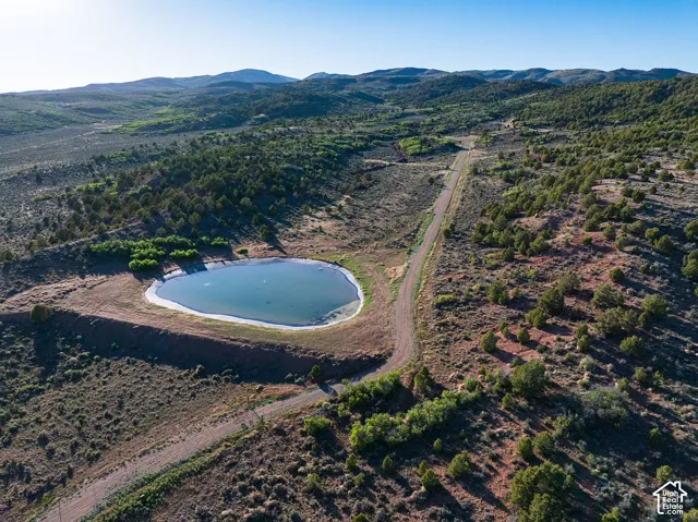 Fishing Pond on the property!!