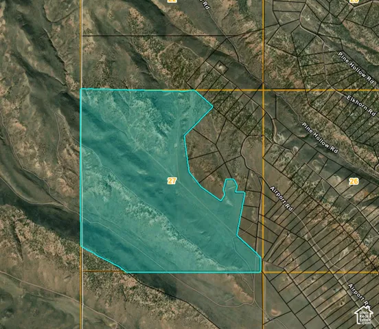 Map View