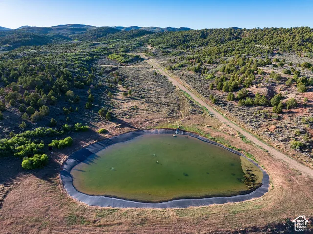 Fishing Pond on the property!!
