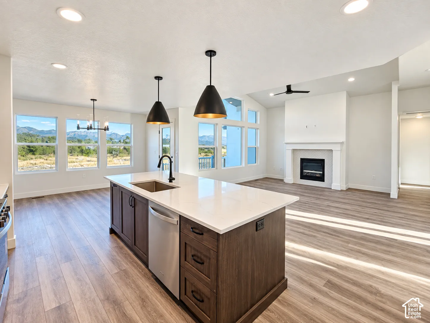 Spacious interior with wood-finish flooring, a kitchen island featuring a stainless steel sink and appliances, and a modern fireplace