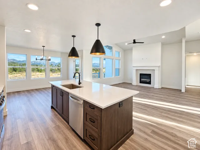 Spacious interior with wood-finish flooring, a kitchen island featuring a stainless steel sink and appliances, and a modern fireplace