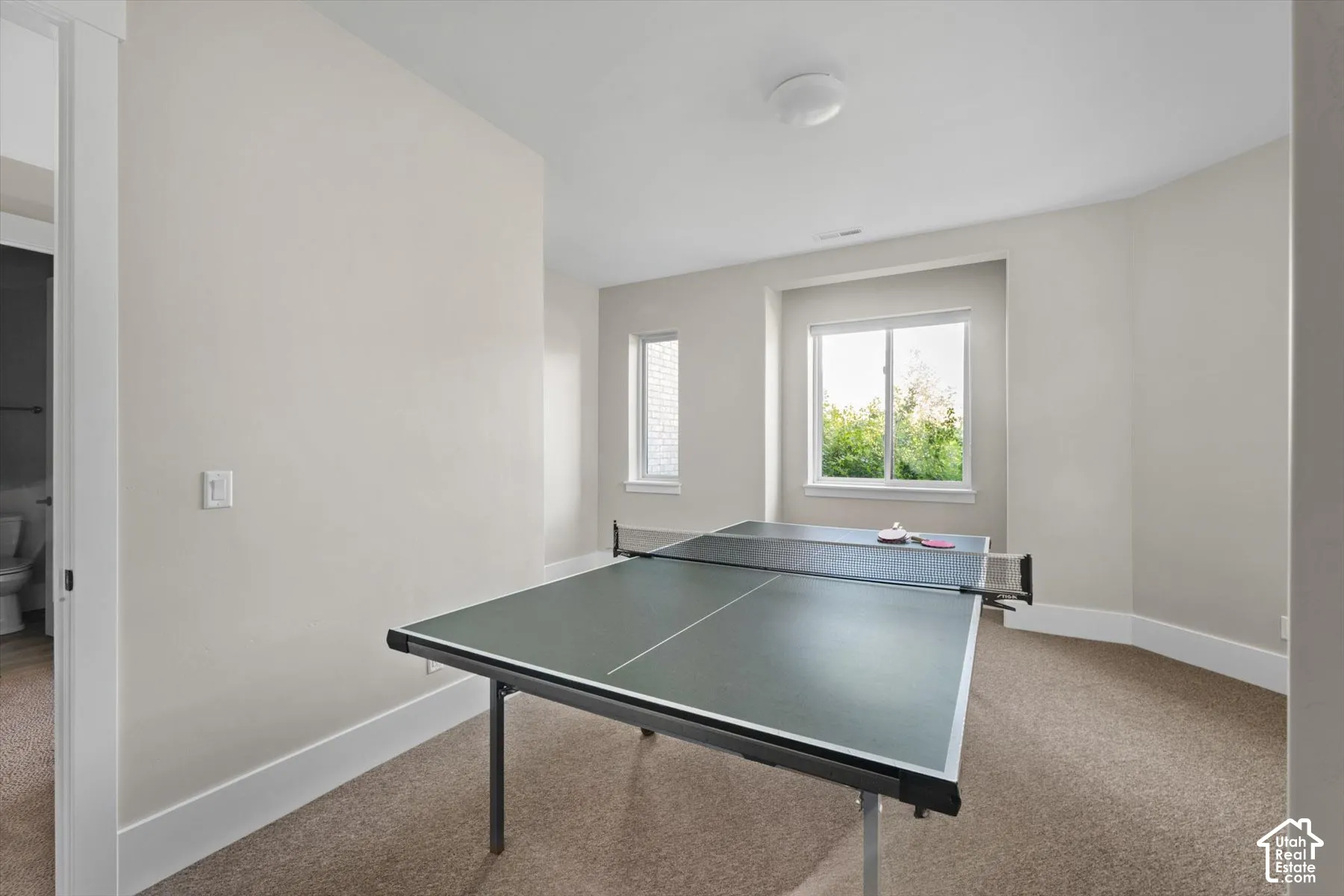 Carpeted room featuring multiple windows, a ceiling-mounted light fixture, and wide baseboards