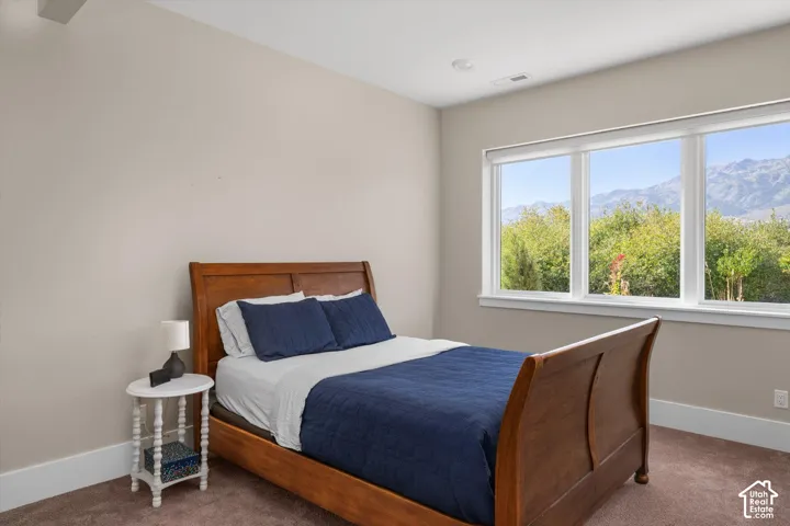 Triple pane window with mountain scenery