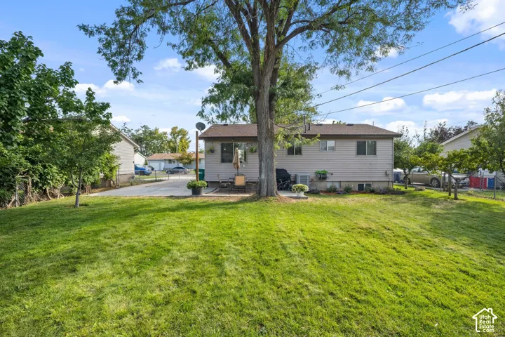 Expansive grassy lawn with a mature central tree