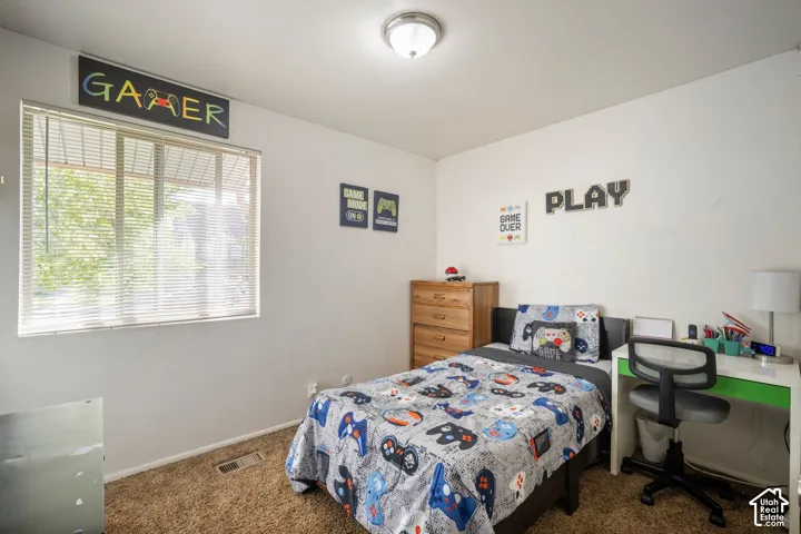 Window with blinds, ceiling-mounted light fixture, and textured carpeting