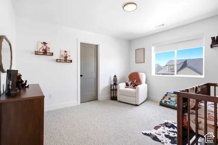 White walls, light-colored carpet flooring, a window with a white roller shade, a gray two-panel interior door, and a flush-mount ceiling light fixture