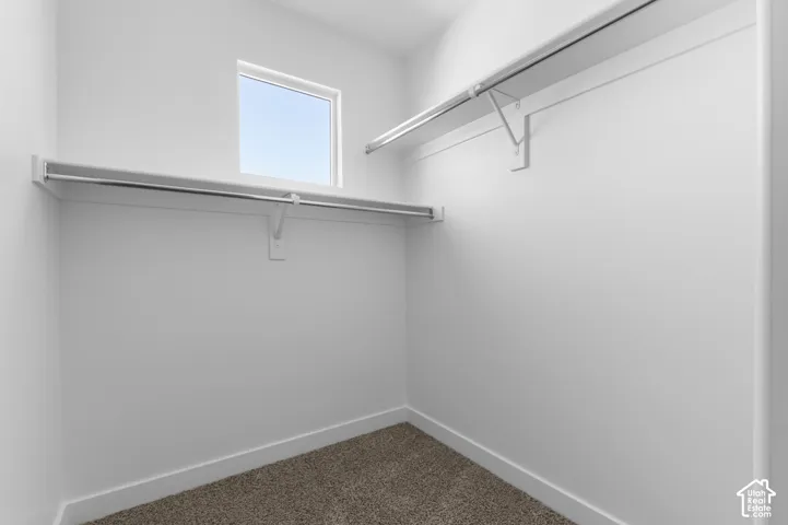 Walk-in closet featuring a window, built-in shelving, and carpet flooring
