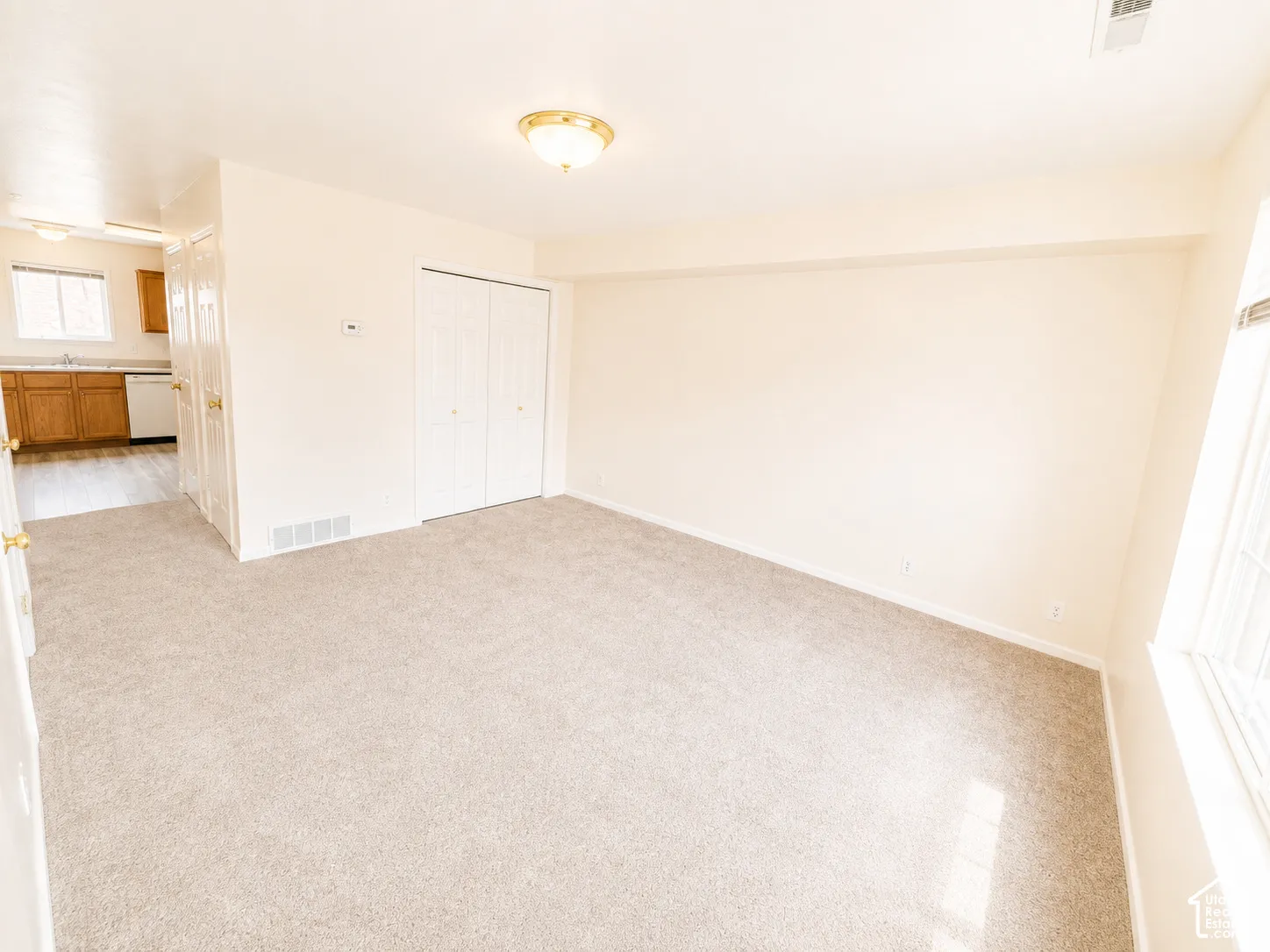 Neutral-toned carpet flooring, a ceiling-mounted light fixture, and a window with natural light
