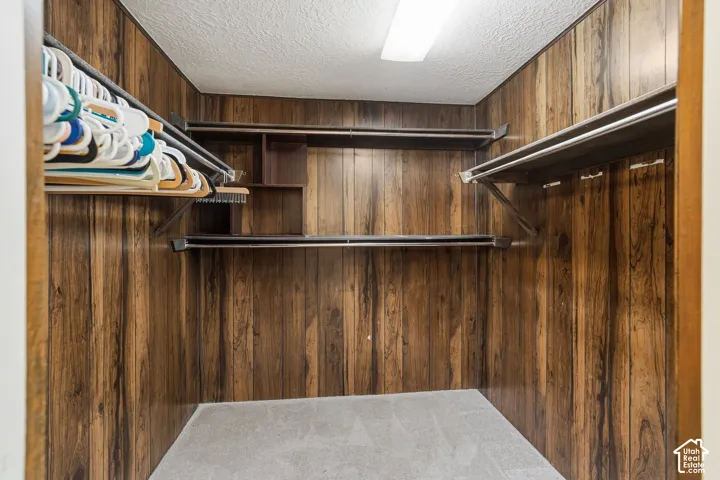 Vertical wood paneling walls, built-in shelving, multiple hanging rods, and carpet flooring