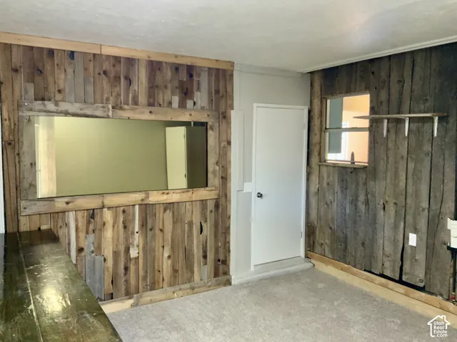 Wood-paneled wall, built-in mirror, white interior door, window, and light gray carpeting