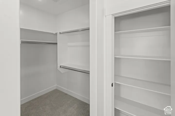 Walk-in closet with carpet flooring, white walls, and built-in shelving