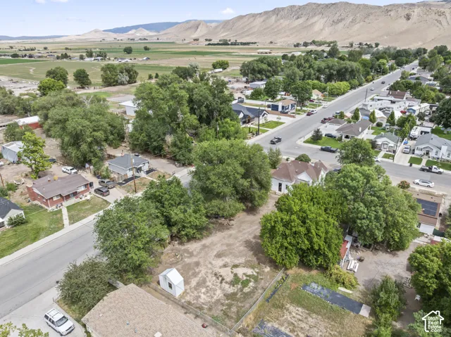 Expansive lot featuring mature trees, a small shed structure, and surrounding residential properties
