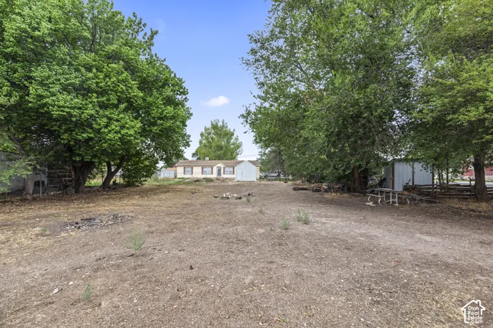 Expansive outdoor space featuring mature trees, a detached storage shed, and a ranch-style home