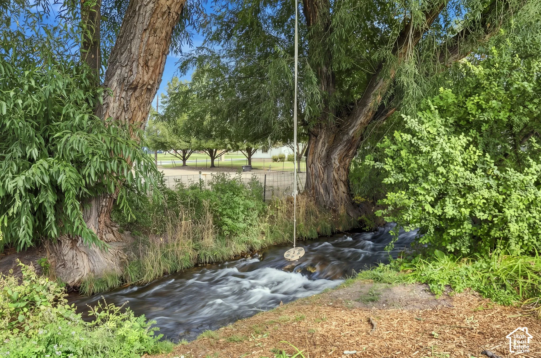 Flowing stream with dense surrounding foliage and mature trees