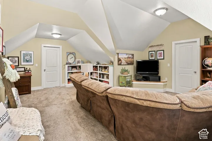 Carpeted room with sloped ceilings, two panel doors, and built-in shelving