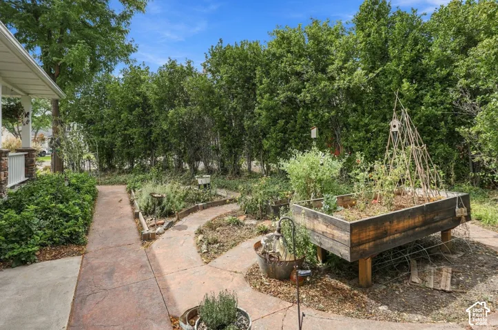Expansive landscaping featuring a stamped concrete pathway, mature trees, manicured shrubs, and a raised garden bed with a trellis