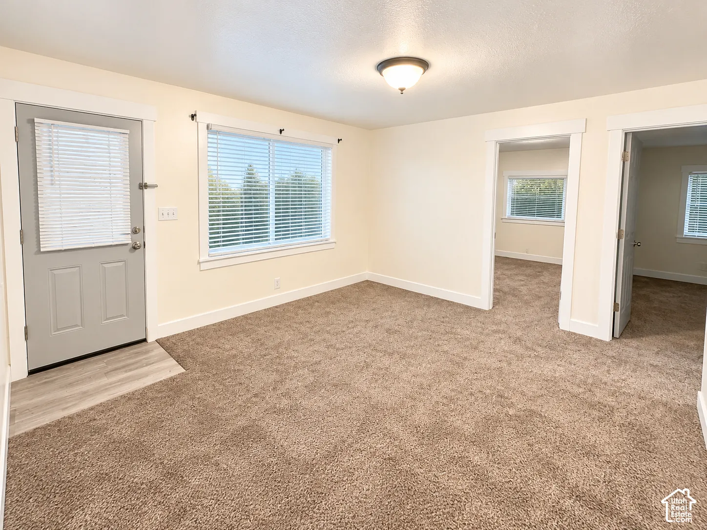 Neutral-toned carpeting, wood-finish entryway flooring, dual-pane window with blinds, and flush-mount ceiling lighting