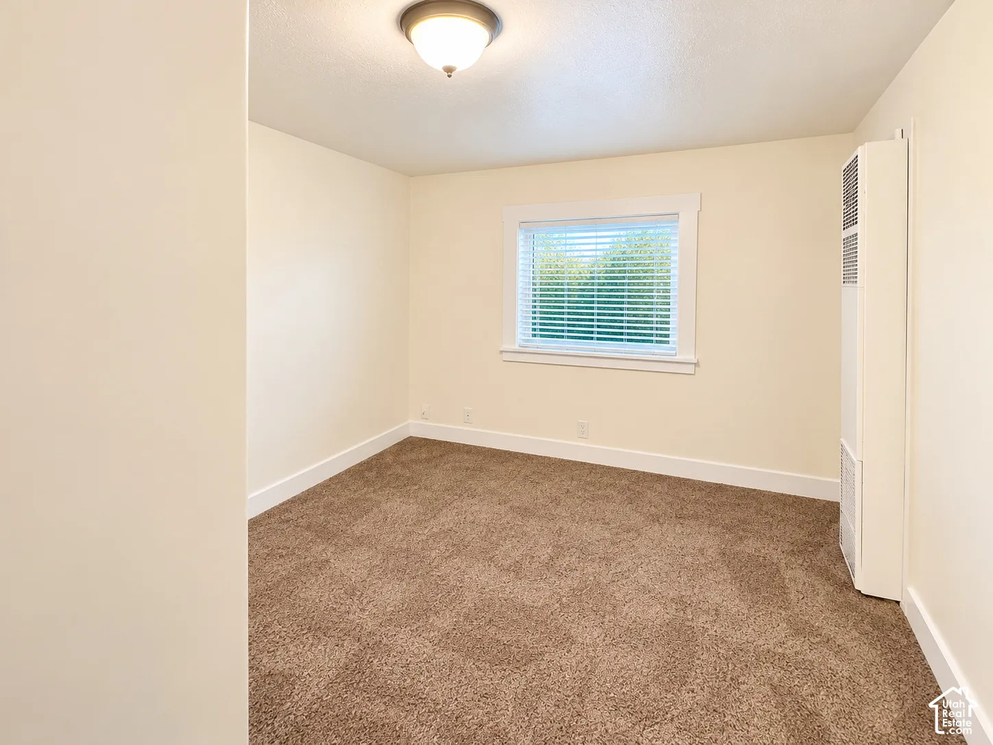 Neutral-toned interior featuring wall-to-wall carpeting, a window with horizontal blinds, flush-mount ceiling lighting, and a wall-mounted heater unit