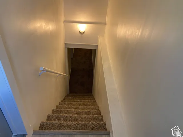 Carpeted staircase with a wall-mounted handrail and an overhead light fixture