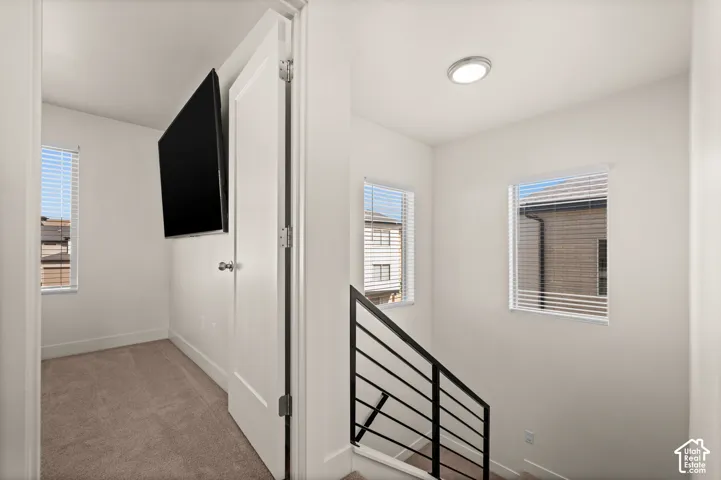Carpeted room with a single window, a white door with a round knob, and a wall-mounted television